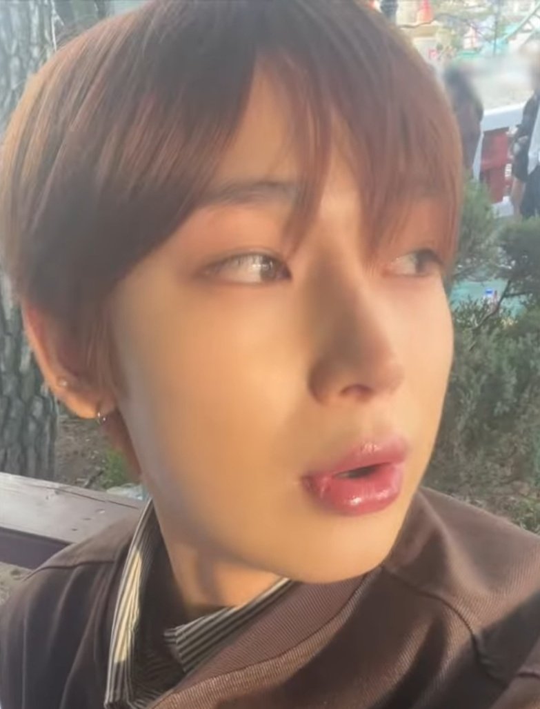 푸울 tweet media