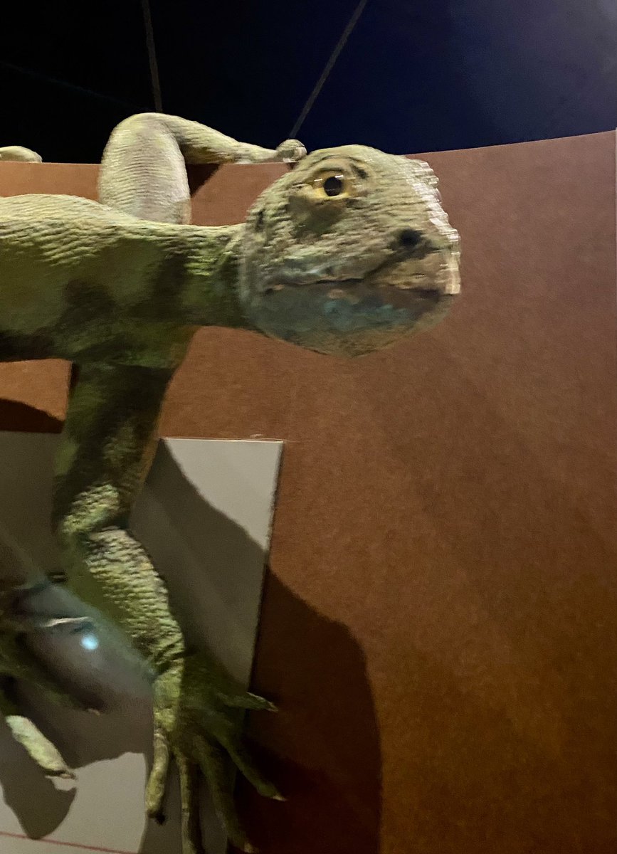 When I hear someone anything bat related 🦇🧬#Evol2023