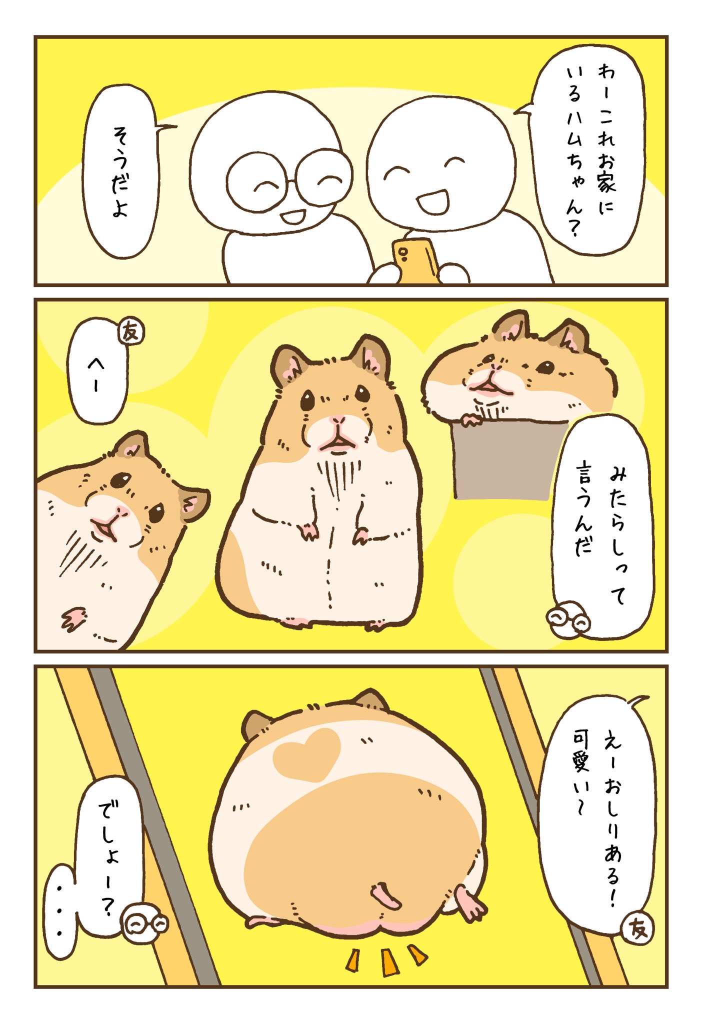 遊ハち＠ハムスター飼い on X: 