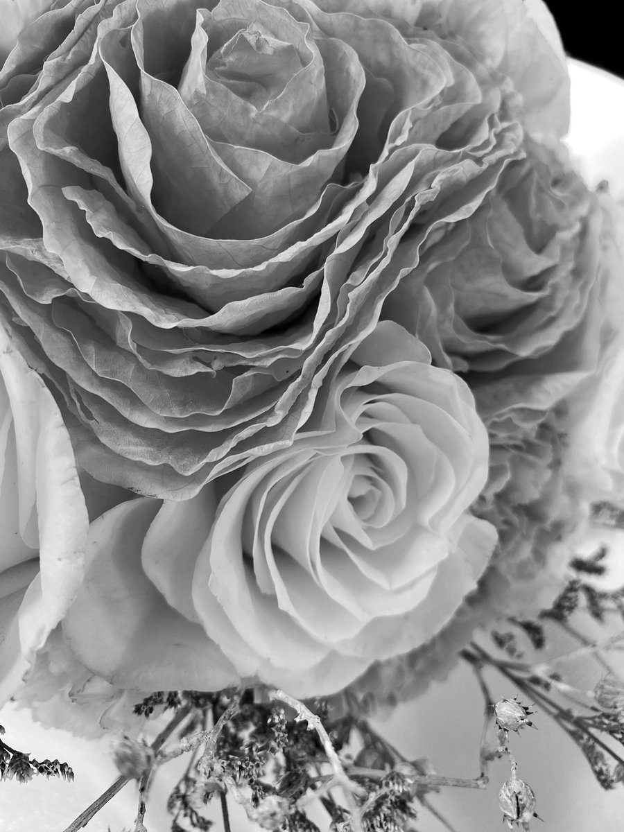 hello! this is jichuhourly admin, just want to share that i got married and will be on rest for a few more days but i will never leave this acc for jisoo and will get an admin when needed. 🌹