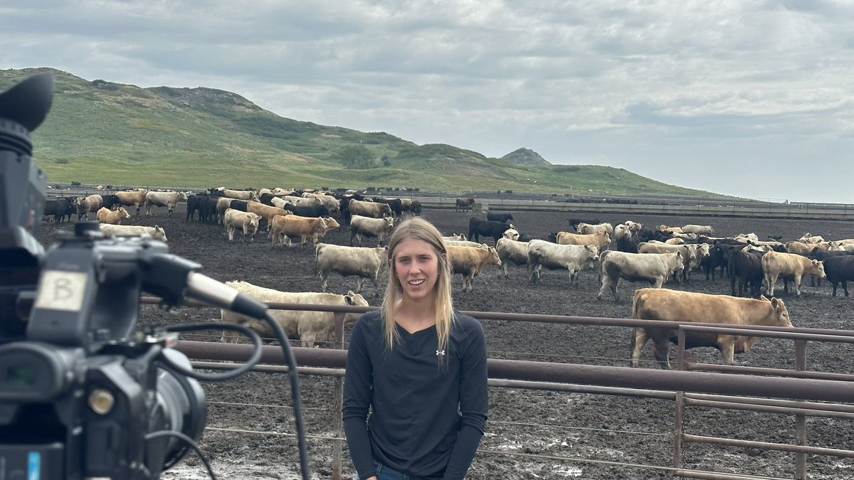 Katemahercsu's tweet photo. #CattlemenToCattlemen had another great day in SD visiting Winner Circle Feedyard to learn more about the Fed Cattle Challenge. A great program by @sdcattlemensfdn that gives high school students the opportunity to learn more about the cattle feeding business firsthand. #SDBeef https://t.co/69mWl9ZVZr