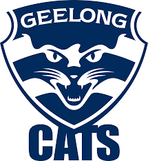 npo_sport's tweet image. Check out our latest episode below

We have a look at Geelong's season so far and what it looks like after the bye. 
We check out Carlton v Gold Coast and see what that game means for both teams #Baggers #WeAreGeelong 

And of course #falconwatch

open.spotify.com/episode/5SHhjF…