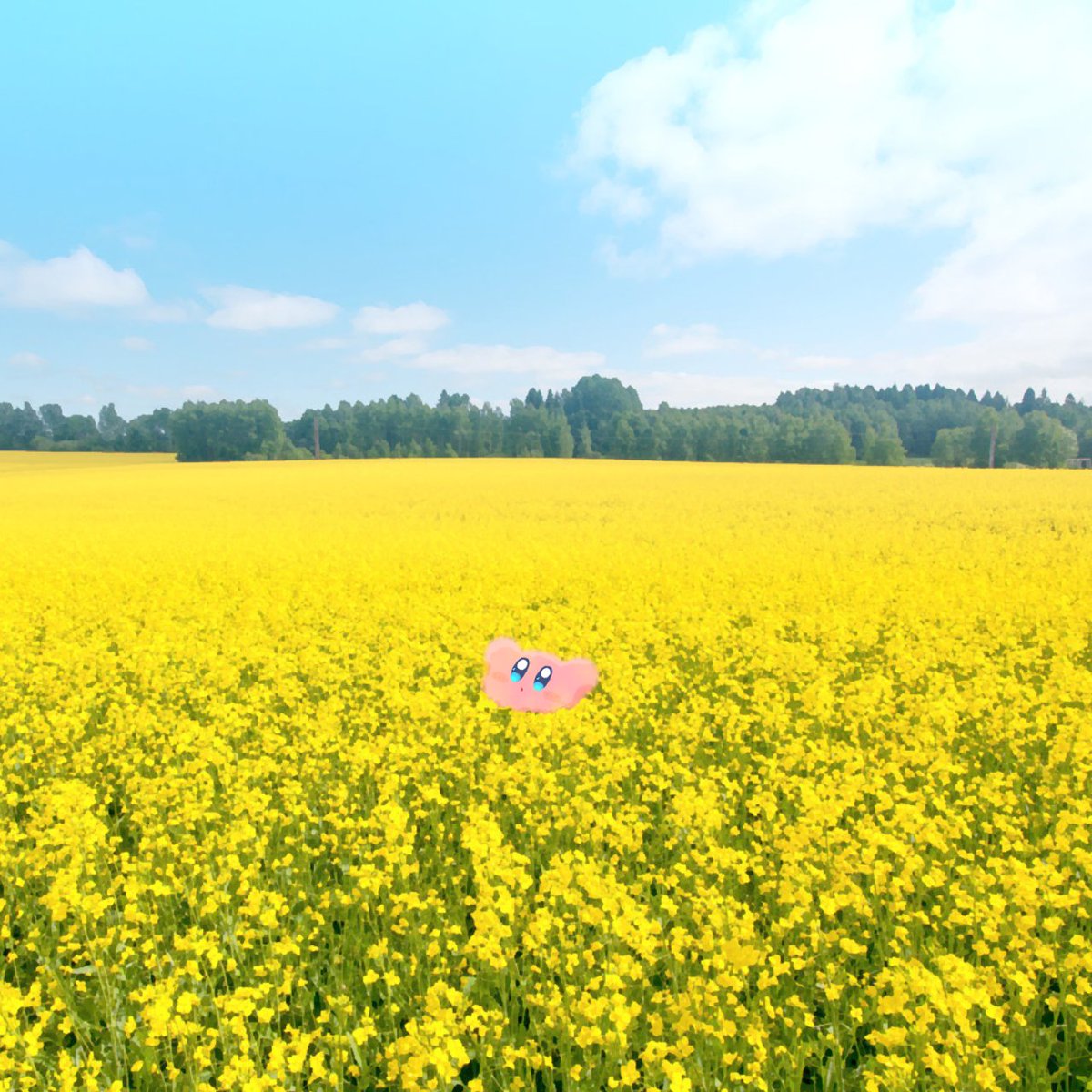 MofuPo3's tweet photo. きにいってふーー https://t.co/Y8kky5Pn4O