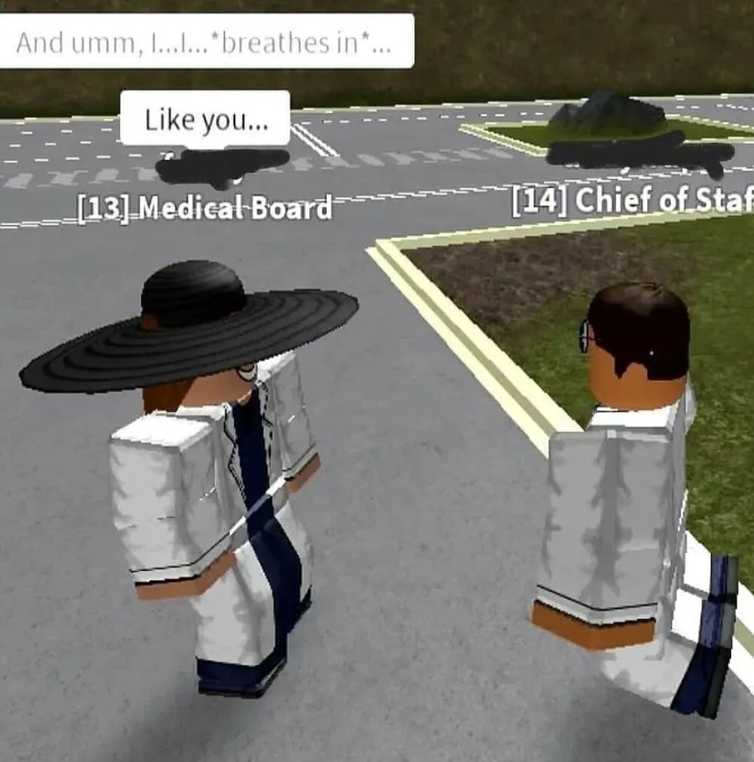 True roblox memes