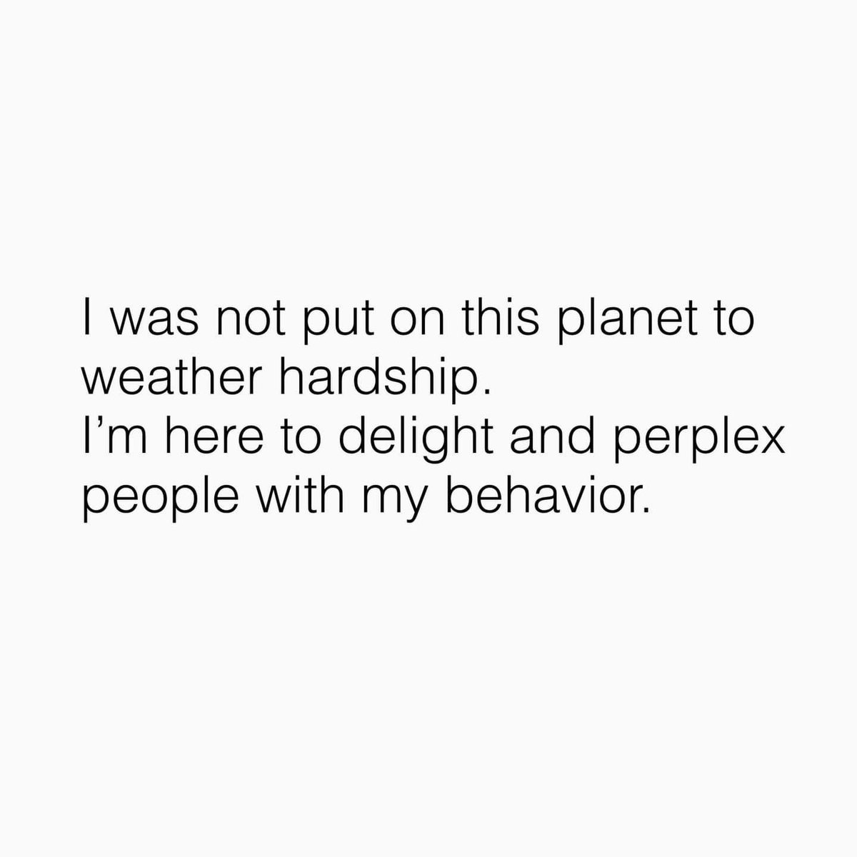 stephchristinaa's tweet photo. use me as an example of what not to do in life 🫶🏼 https://t.co/FwM9Zj2YUQ
