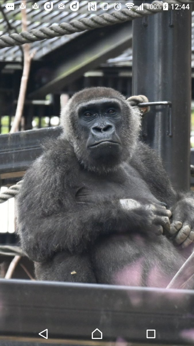 空🌈sora (@ku1127) / Posts / X