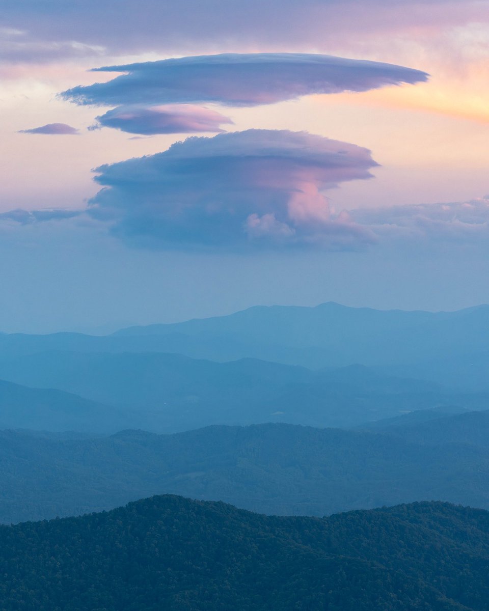 TMSkyHumPhoto's tweet image. View from the top; Roan Mountain, TN. #mountains #landscapephotography #smokeymountains