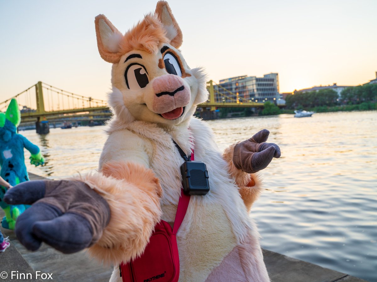 it's almost time for Anthrocon!! who else is goin?

#FursuitFriday
📸 : finnish_fox