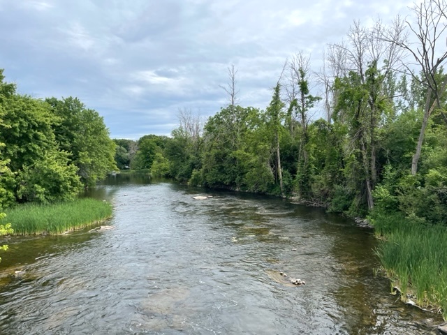 Upstream and downstream on the Tay River at Port Elmsley today.

#countrylife #easternontario #lanarkcounty