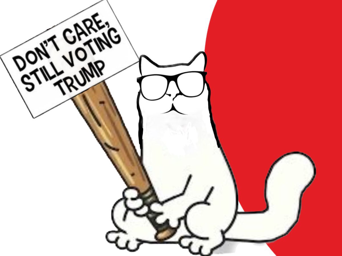 Catturd ™ on Twitter "Weekly reminder