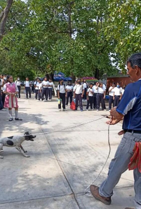 FundacionToby's tweet photo. Imágenes fuertes de como Santiago Herrera flores director de la escuela secundaria Heliodoro Chari Castro en Juchitan Oaxaca sacó a palos y mecates a una perra, tiró a los cachorros a la basura y los desapareció.

De qué sirve que se hable del bienestar animal en los libros de la sep si los profesores hacen eso y frente a los estudiantes.

Mi amiga ya va camino a hacer la denuncia, si alguien la puede apoyar por favor mande dm.

Ya basta!