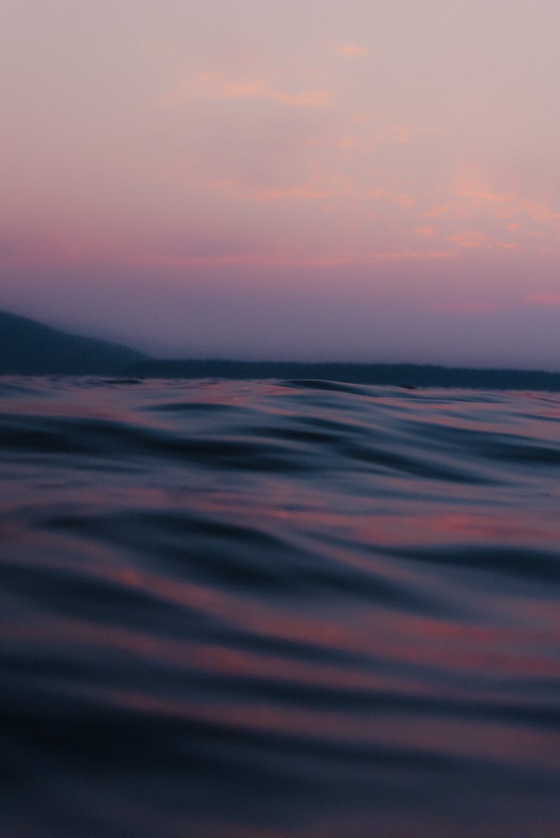 chasing romance in the sea