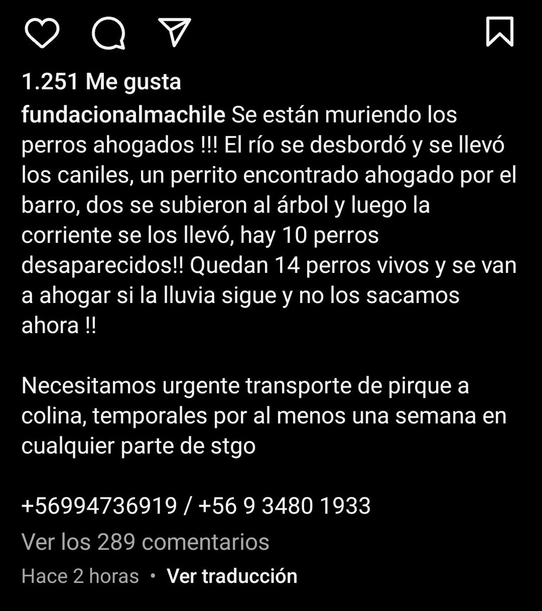 Prin_Pinina's tweet photo. Fundacion alma chile informa que hay caniles que se los esta llevando el rio!! Necesitan hogares temporales!! #alertaroja #pirque #sanjosedemaipo #emergencia https://t.co/4qfsEcoDXD