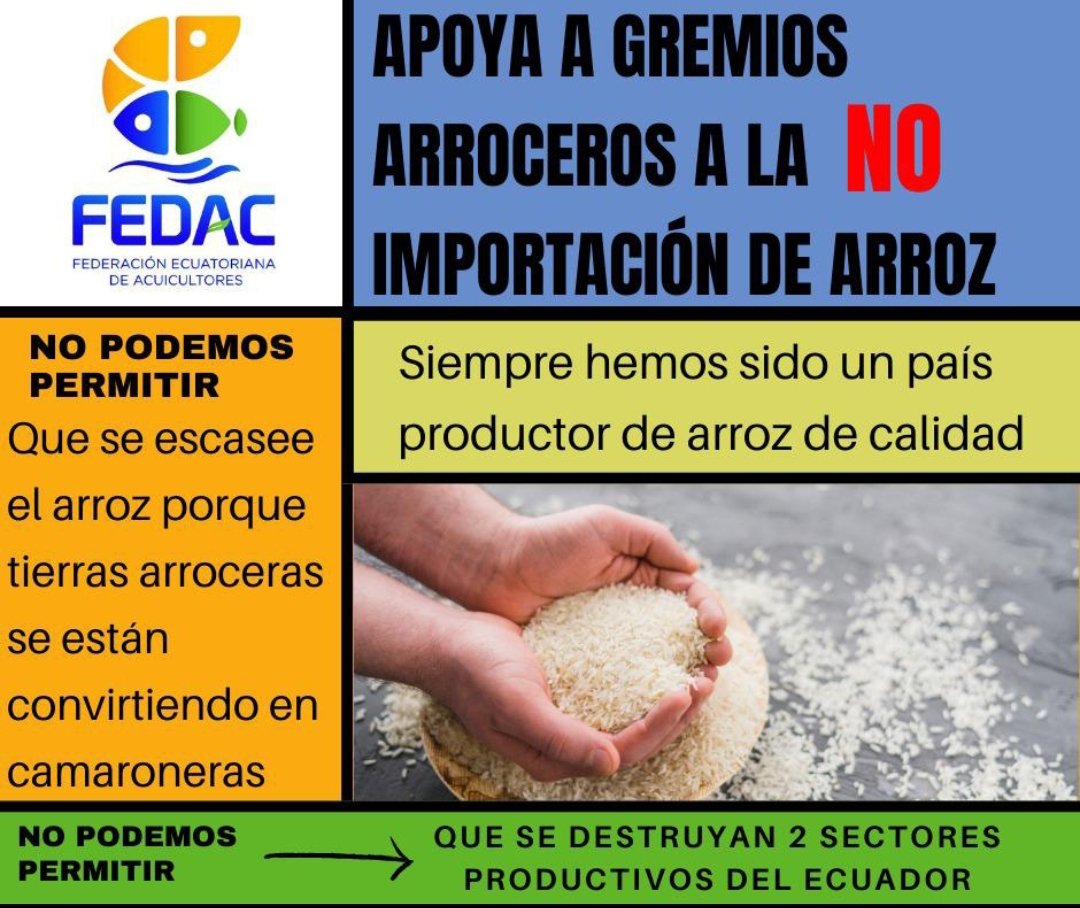 <a href="/fedac_ec/">FEDERACION DE ACUICULTORES</a> y Gremios Arroceros juntos x la Defensa de la Soberanía Alimentaria <a href="/CarlosVerareal/">Carlos Vera</a> <a href="/Presidencia_Ec/">Presidencia Ecuador 🇪🇨</a> <a href="/Produccion_Ecu/">Ministerio de Producción</a> <a href="/AgriculturaEc/">Agricultura, Ganadería y Pesca Ecuador 🇪🇨</a> @Ambiente_Ec