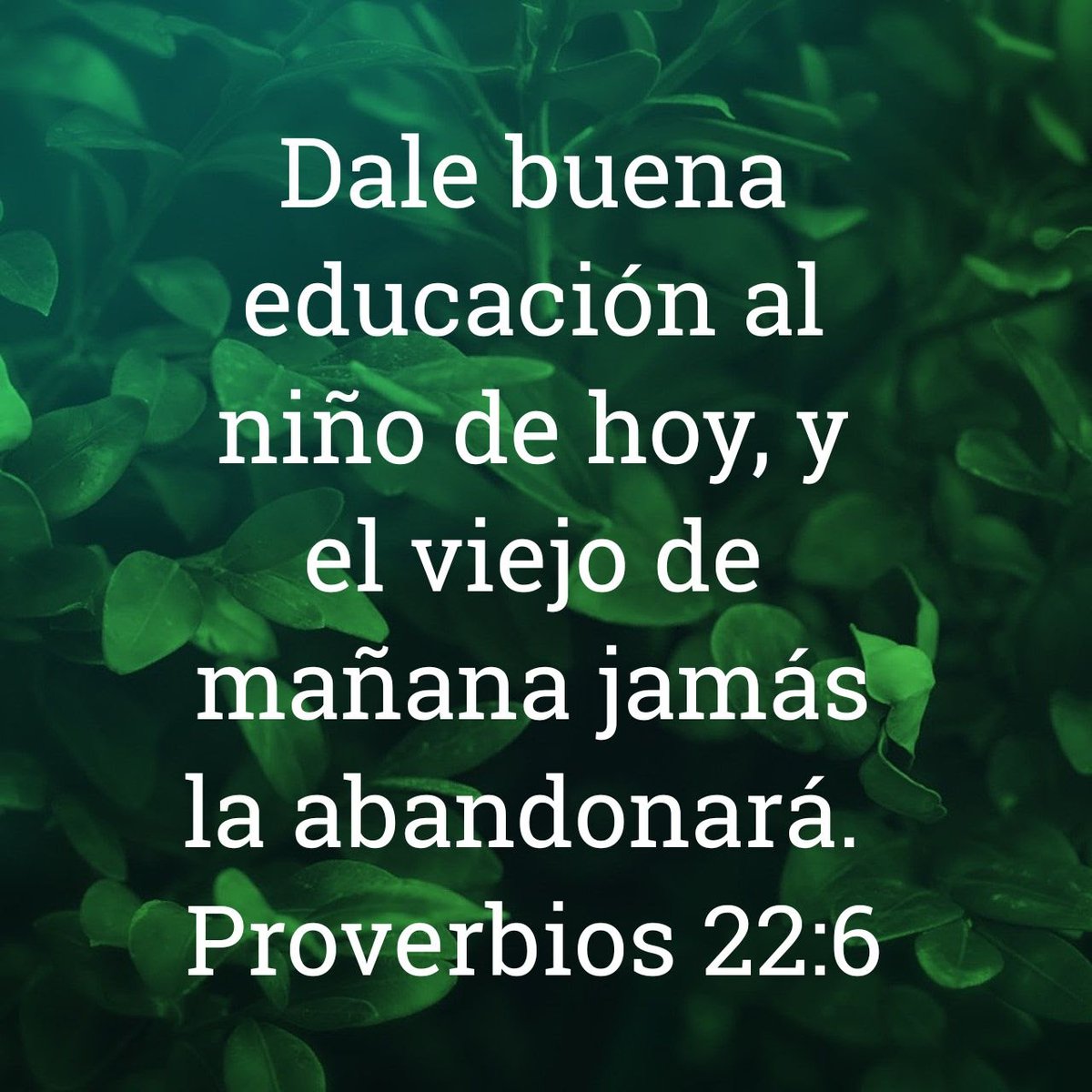 Job4211's tweet photo. @Pontifex_es Vivamos la #PalabradeDios

La obra del Espíritu Santo no tiene nada que ver con alcahueterías, ni moda ni fanatismo.

#Dios es más estricto de lo que las religiones humanas se imaginan o profesan.

Dios de justicia, guiamos por el verdadero camino: Jesucristo. https://t.co/Cu2dWtvsT0
