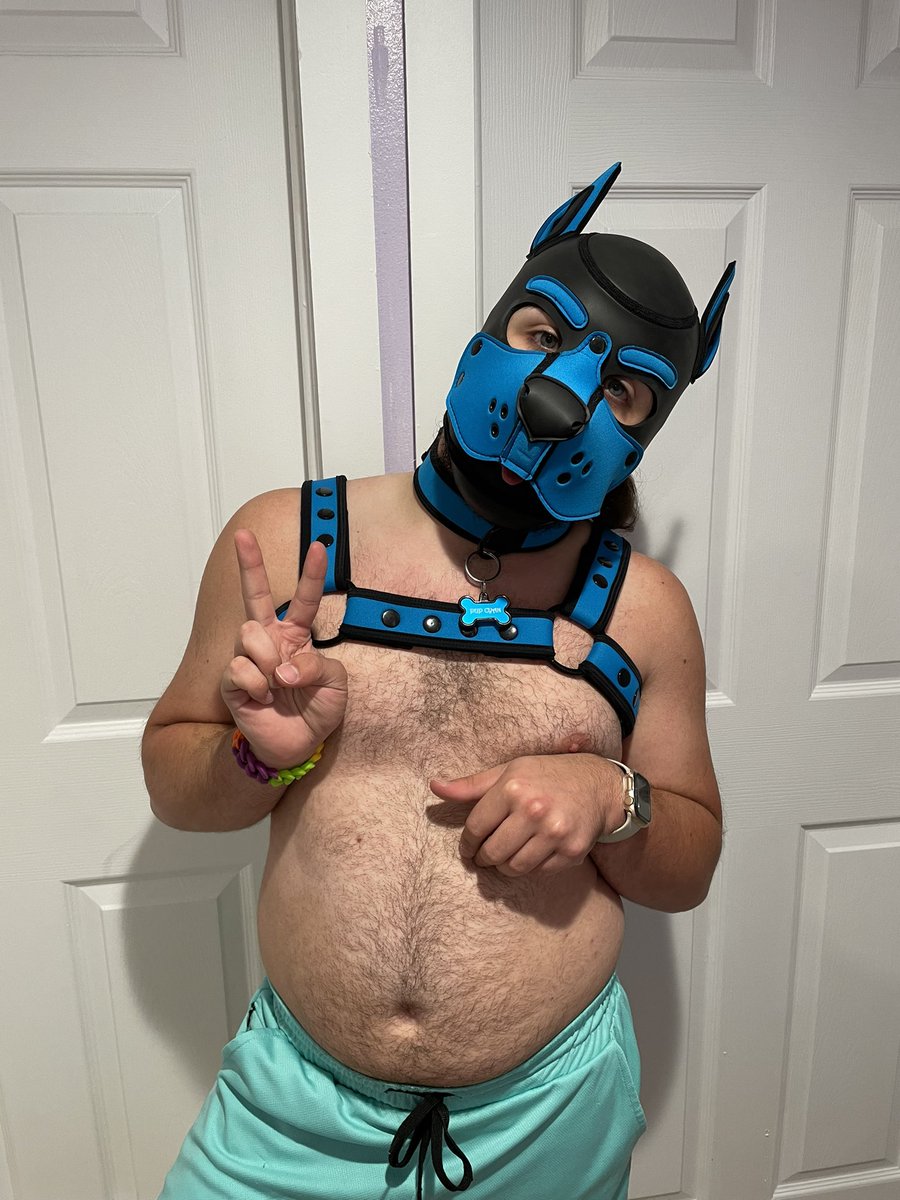 ThePupCyan's tweet photo. About to go live for #TwitchLeatherPride from 8pm–11pm Eastern! Come check me out at https://t.co/vlPdFHVJqn https://t.co/thauVUTFb5
