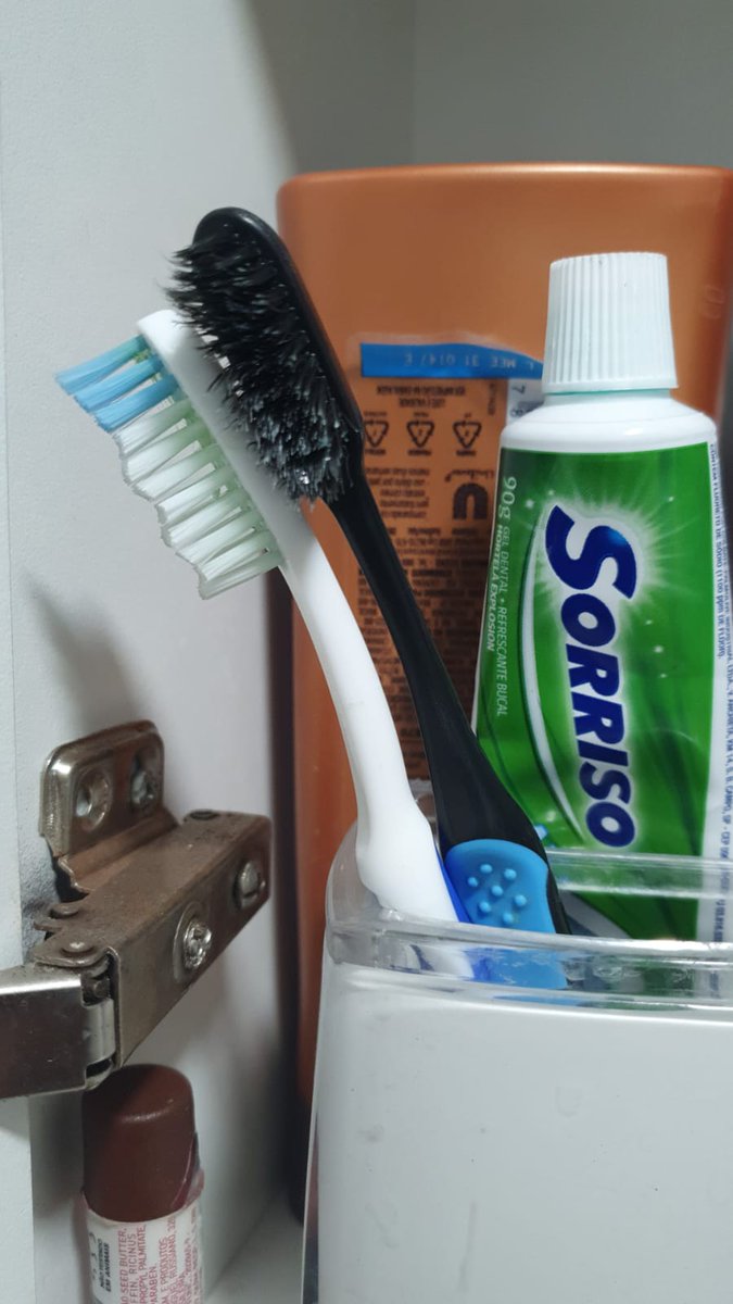 werlenms's tweet photo. As escovas sabem das coisas. https://t.co/xxq30nNWKq