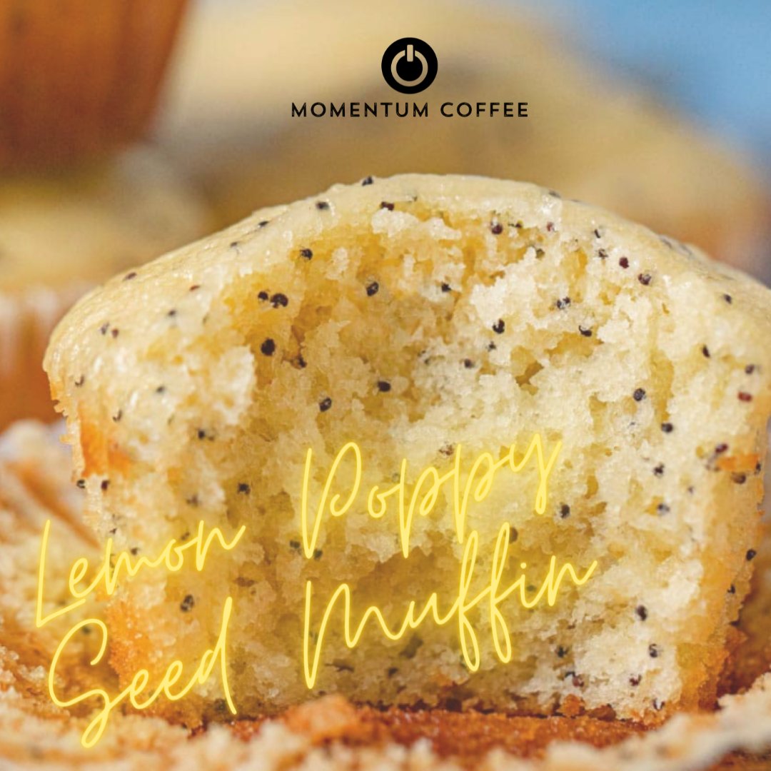 Momentum Coffee's Lemon Poppy Seed muffin is back or this summer season!
Don't miss this delicious treat, only at Momentum Coffee! 🎉 🍾 🥳 

#ignitespaces #momentumcoffeechicago #keepthemomentum #muffin #chicagocoffeeshop