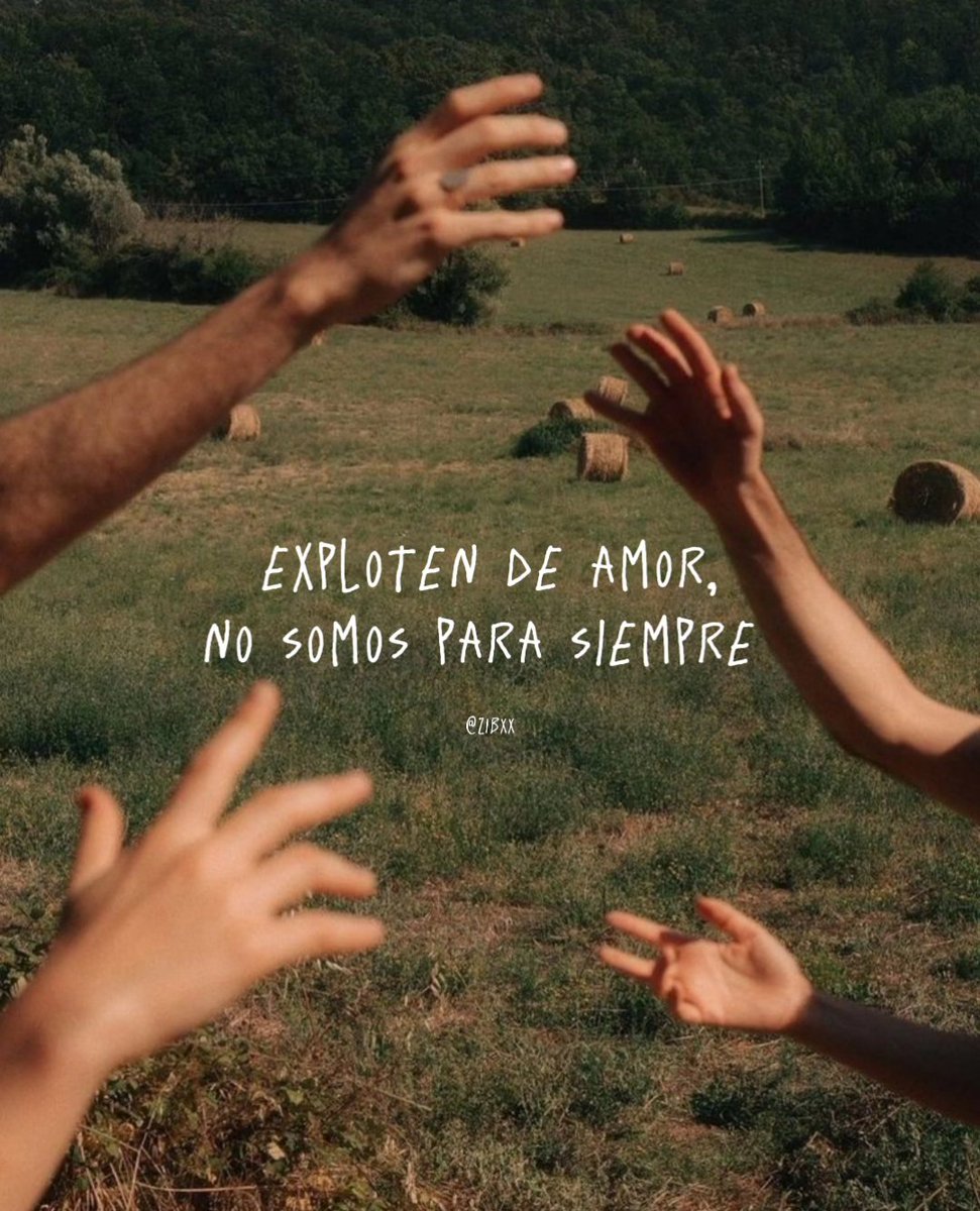 zibá (@zibxx) on Twitter photo 