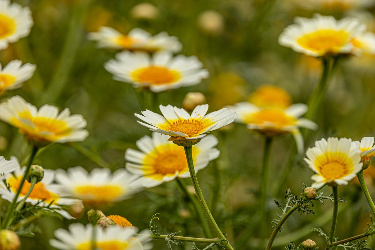 tmadsen805's tweet photo. @admired_art @gerryq65 https://t.co/VWPUBsEyng