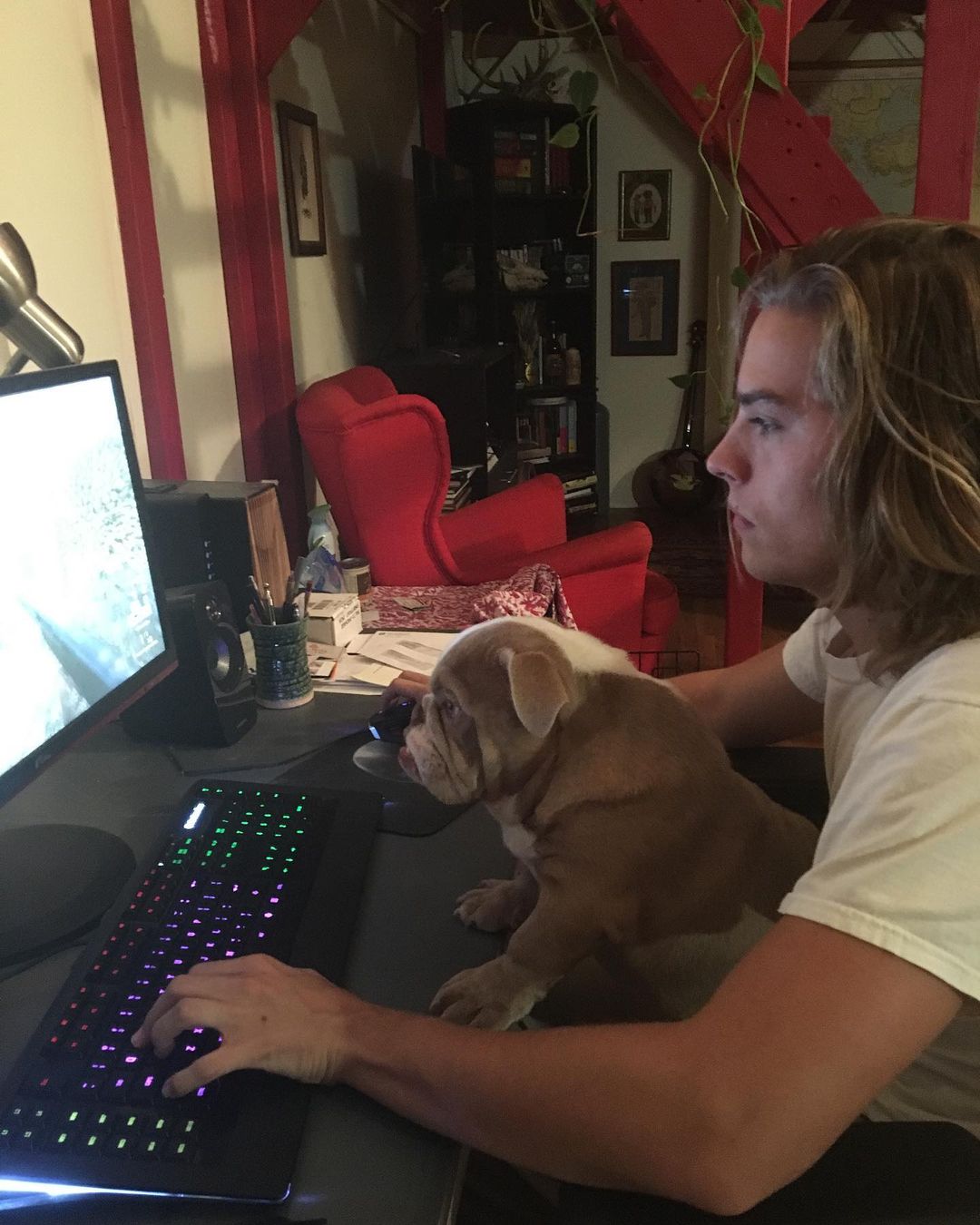 Inquirer on Twitter "‘GIVE YOUR DOGS A HUG WHEN YOU CAN’ 🤍 LOOK(01)