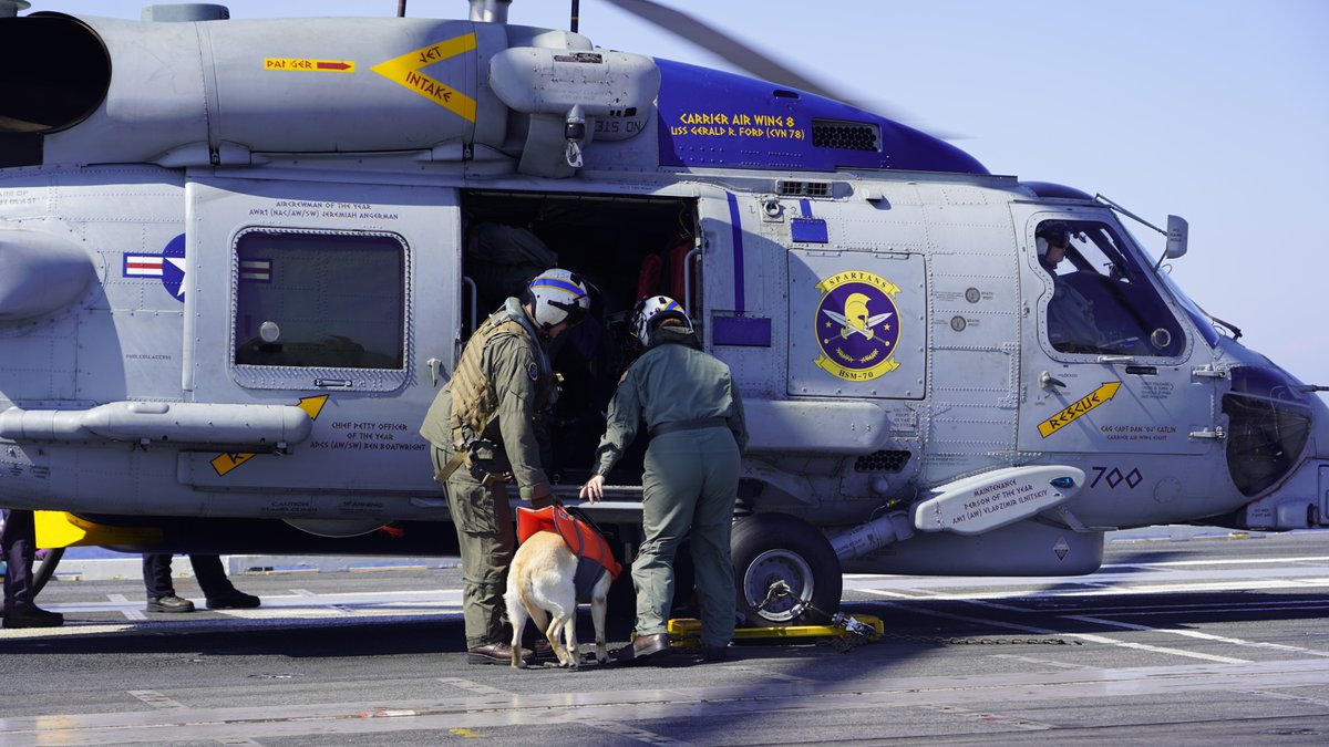 CVN78_GRFord's tweet photo. Happy National Take Your Dog to Work Day! 🐾💼

Captain Sage went on her first flight and got her official studio photo taken!

#takeyourdogtoworkday #Sage #Spartans #hsm70 #ussgeraldrford #usnavy #integrityatthehelm https://t.co/N7WAkjJtP9