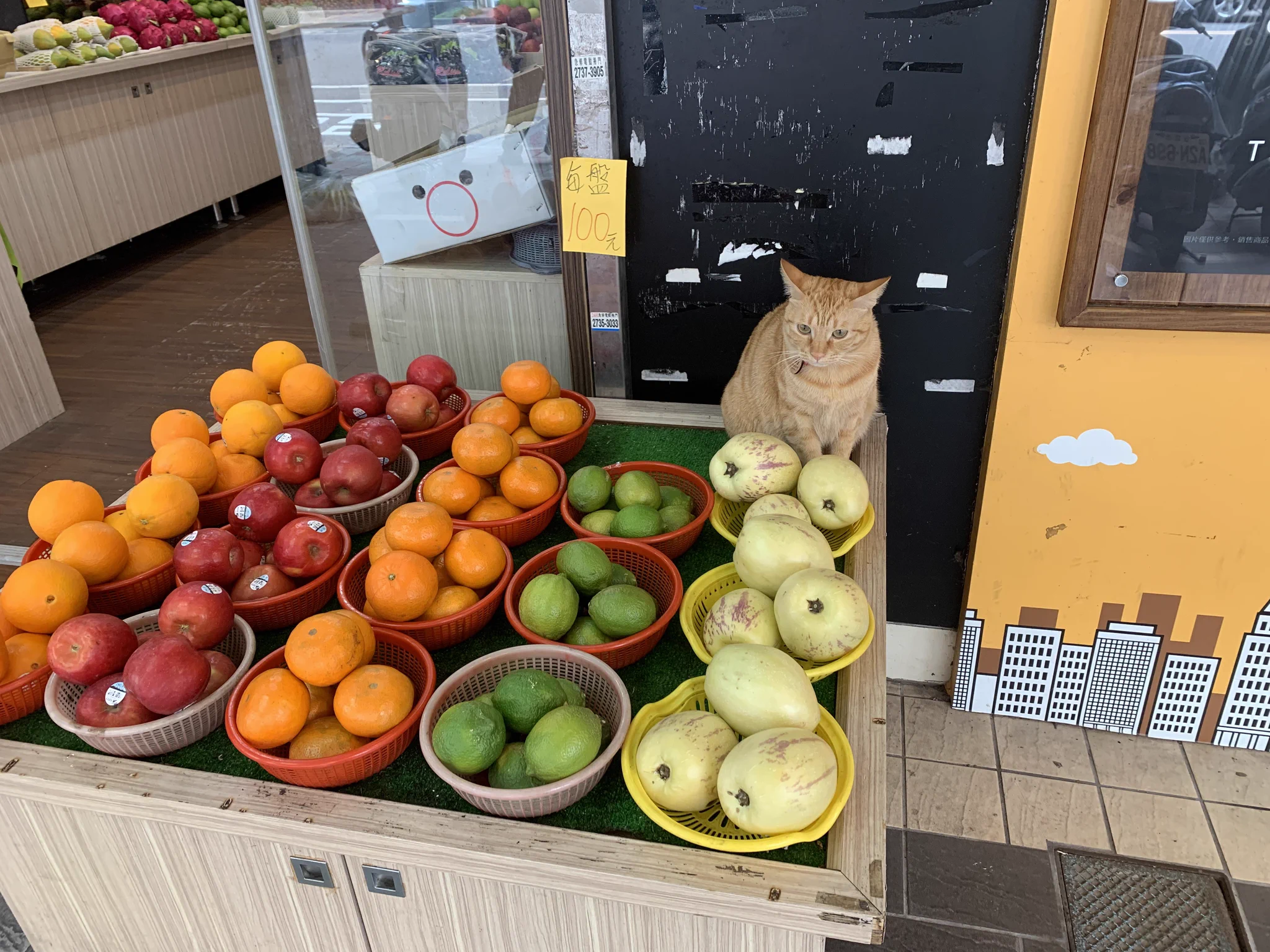 @haruotpe @shikakugangu 