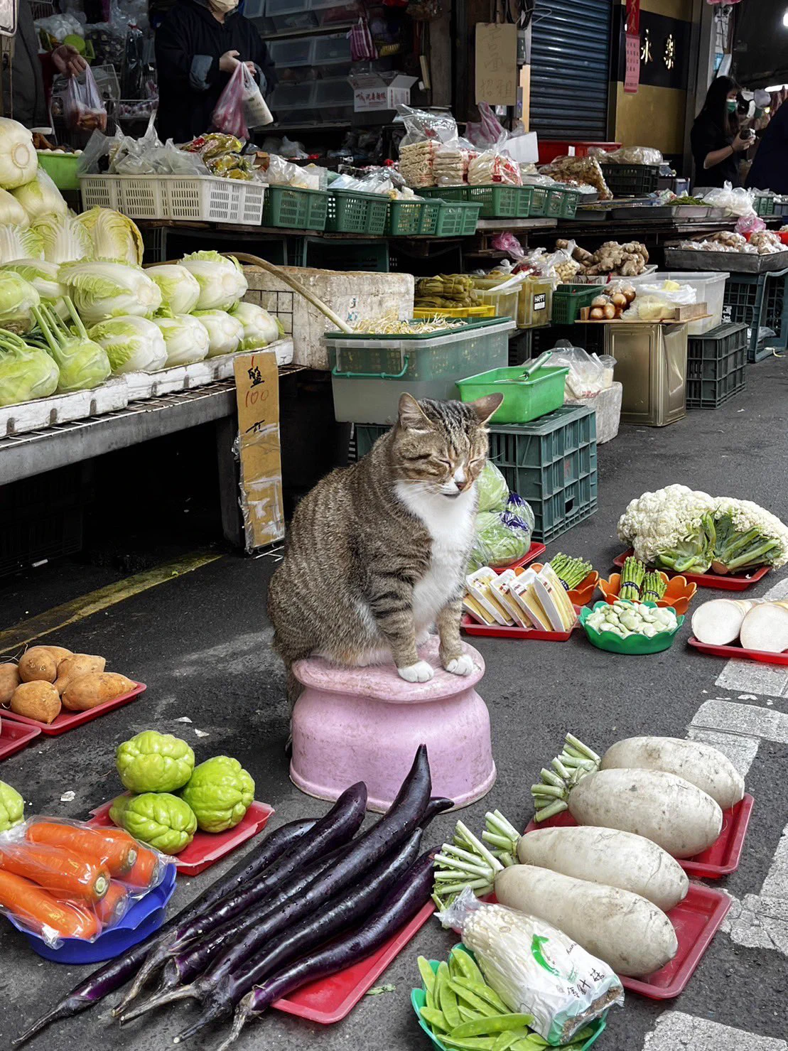 @haruotpe @shikakugangu 