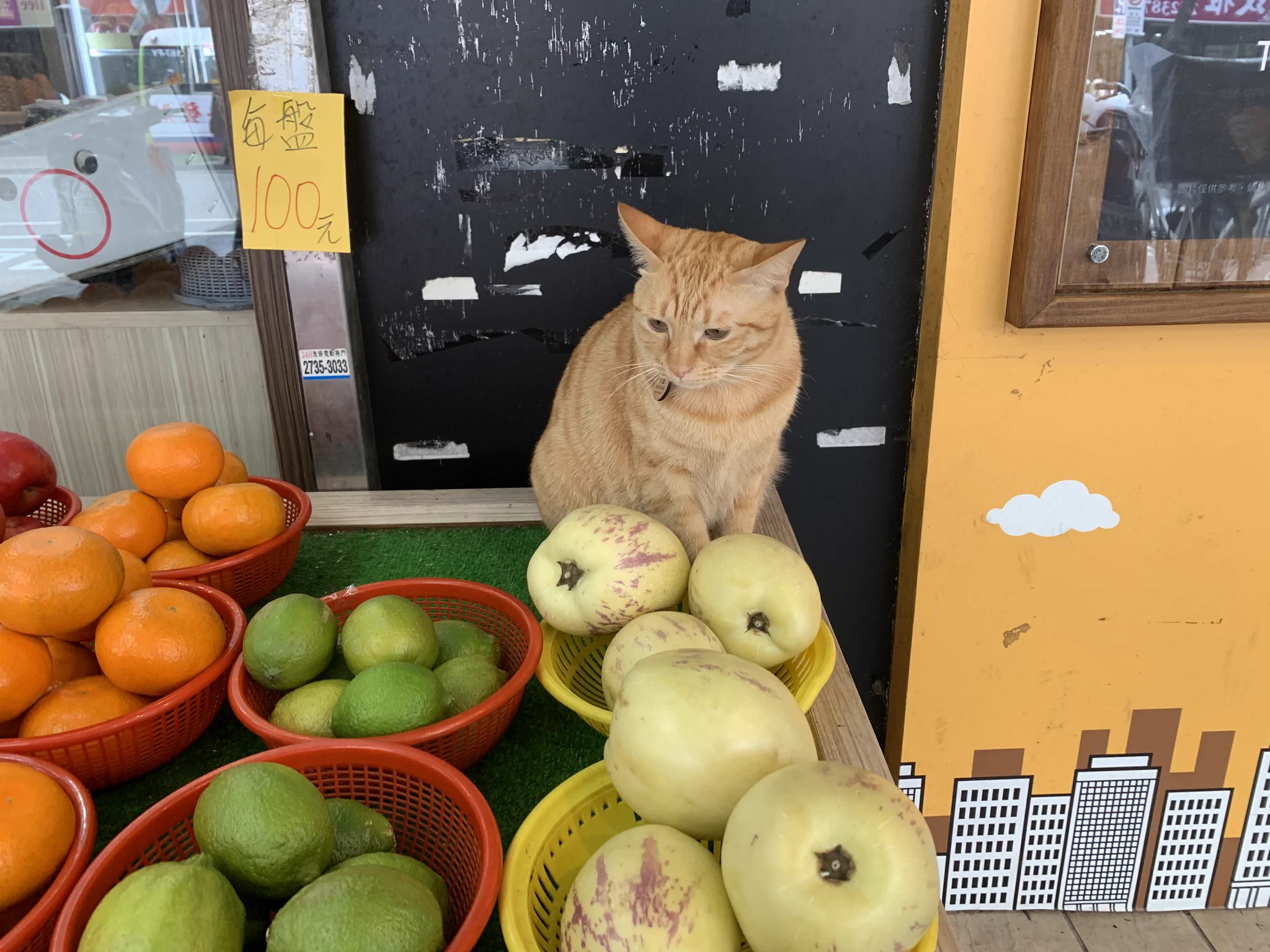 @haruotpe @shikakugangu 