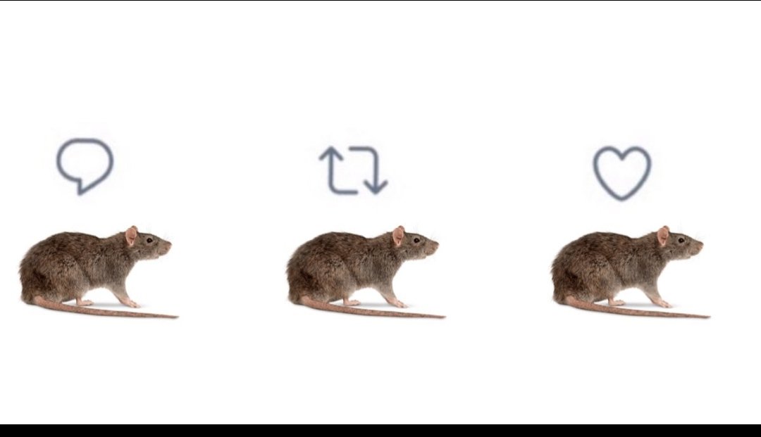 Truefast3's tweet photo. sorry no es q ya tenian guión? seguirán qdando como los #PASTORCITOSMENTIROSOS el proyecto no se dio x q cdo quisieron cierto personaje prefirió vender s #BAZUCIRCO x q segun eso vendia ➕ no quieran tapar el ☀ con un dedo @macabeso @barbara_lopez21 @bardasano @thelemonstudios https://t.co/1IJXMWTrlY