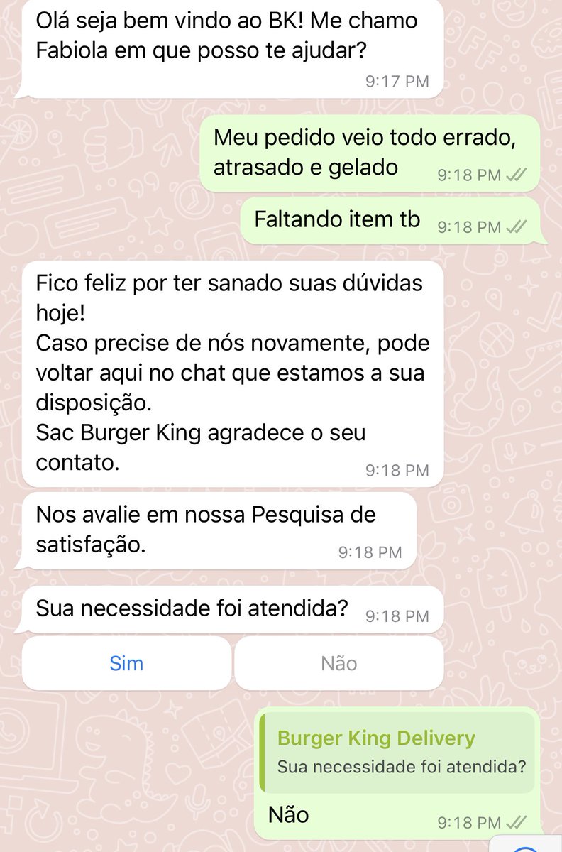 Panelaterapia's tweet photo. E o descaso do atendimento do @BurgerKingBR que vc espera horrores e quando relata o problema eles encerram o atendimento? https://t.co/ATd1XkXQdY