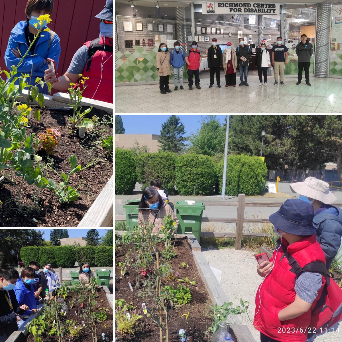 RCD_Richmond's tweet photo. Enjoyed the hot summer #communitygarden @rcd_richmond #GardeningClub rewarding time working with the plants, caring for their growth and enjoying the harvest
#accessiblegardening #gardeningforall #accessibleplantingplot #peoplewithdisabilities #communitylife #HappyHarvesting https://t.co/o7iTIZn46c