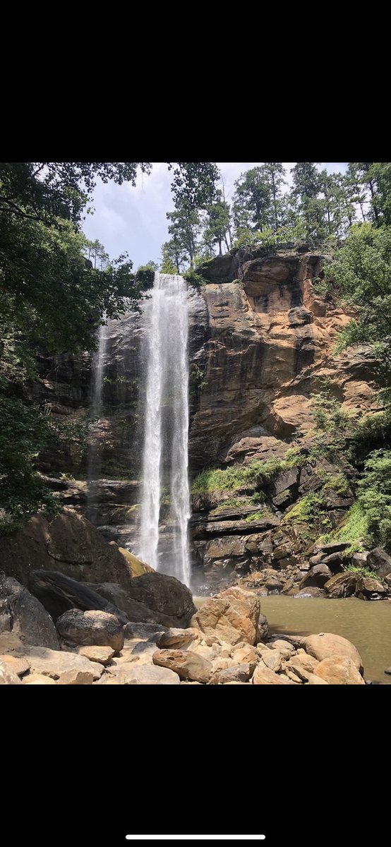 Toccoa Falls College is looking to add a couple more players for this coming year. Transfers, JUCO’s, or recent grads. Contact us in a message or email JTaylor@tfc.edu.  Pitching is too priority. 
South region Runners up in 2023
World Series Appearance  in 2023