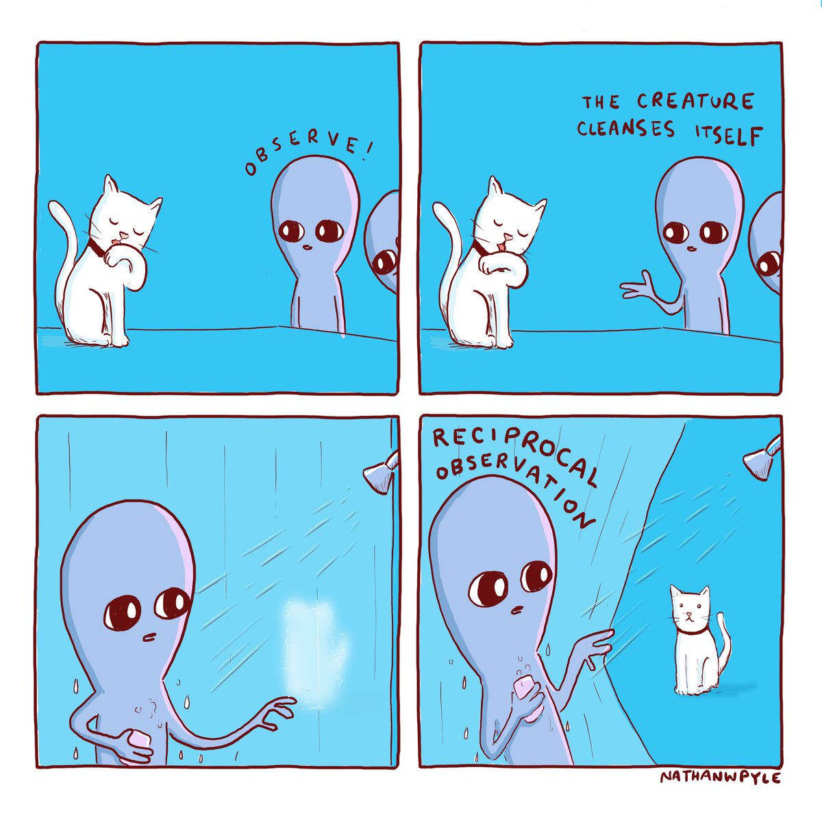 4 of the shortest Strange Planet comics (20 words or fewer)