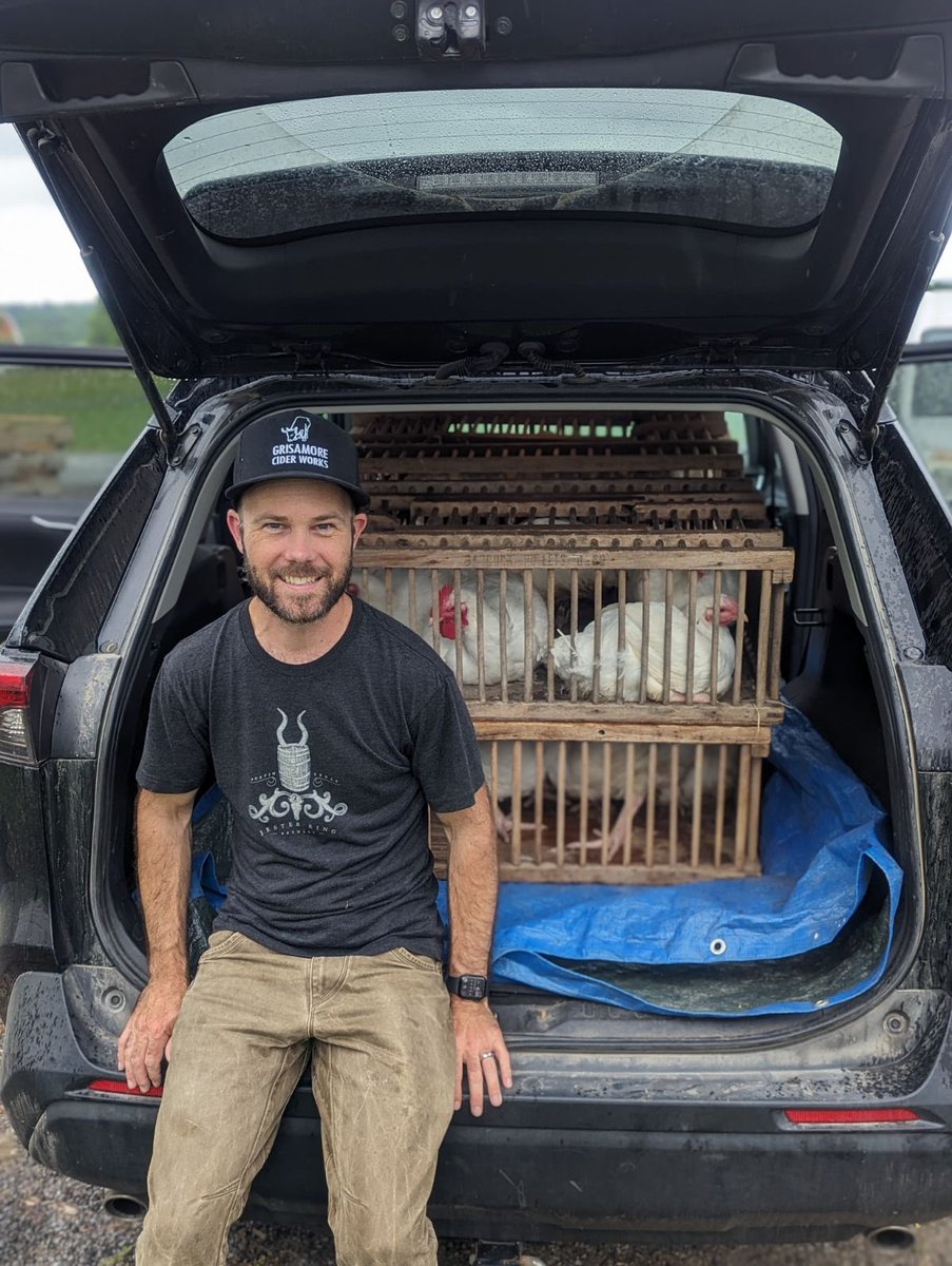 Simon Ingall tweet media