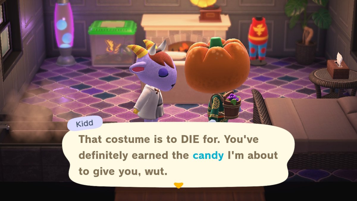 DomAnimates's tweet photo. #AnimalCrossing #ACNH #NintendoSwitch https://t.co/oVUAdD8ujO