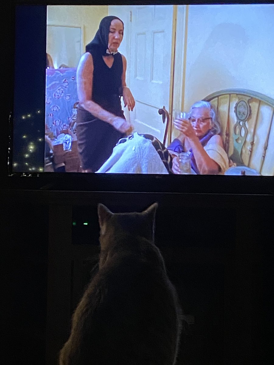 My cat is enjoying #GreyGardens. #TCMParty