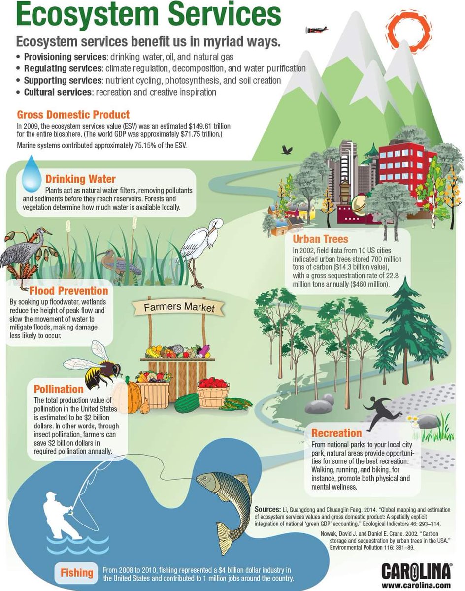 What are ecosystem services? 

Learn more here:
facebook.com/groups/boxpeop…

#ecosystems
#NaturebasedSolutions #outdoorlearning #sdgs #GlobalGoals