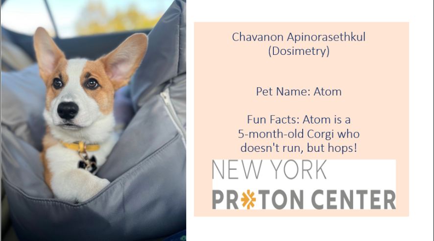 nyproton's tweet photo. Today is National Take Your Dog to Work Day! Although we can’t bring our pets to work, we love coming home to them. Meet some of the pets who faithfully greet our NYPC team when they arrive home! #takeyourdogtoworkday #protontherapy https://t.co/X0RRmmO9m3