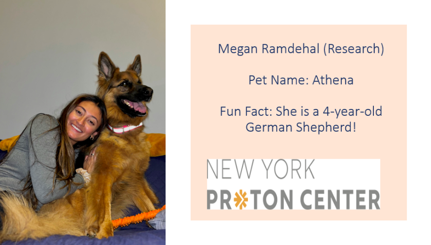 nyproton's tweet photo. Today is National Take Your Dog to Work Day! Although we can’t bring our pets to work, we love coming home to them. Meet some of the pets who faithfully greet our NYPC team when they arrive home! #takeyourdogtoworkday #protontherapy https://t.co/X0RRmmO9m3