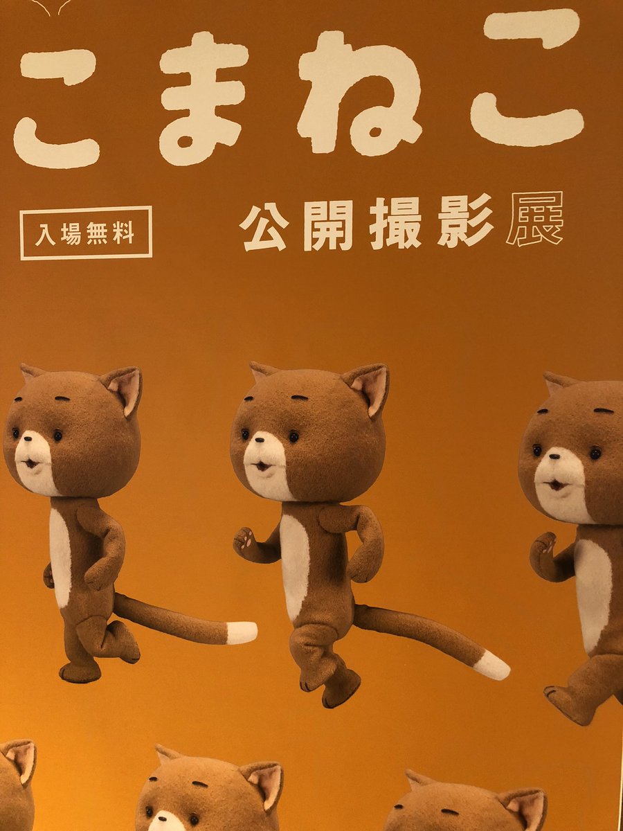 「ほぼ日曜日の「こまねこ公開撮影」 行ってきました 穴からね、ずーーっと覗いちゃい」|きはらようすけ（かいじゅうステップ制作中！)のイラスト