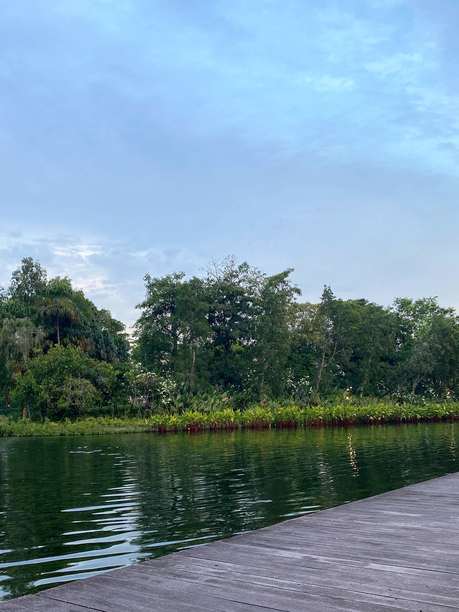 ☁️🌳🚶🏻‍♀️🇸🇬