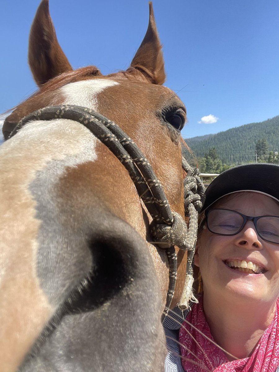 I know what’s happening in Russia is CRAZY, but here’s one of the cutest, if not THE CUTEST horses in the world! #Louie #TimelineCleanse