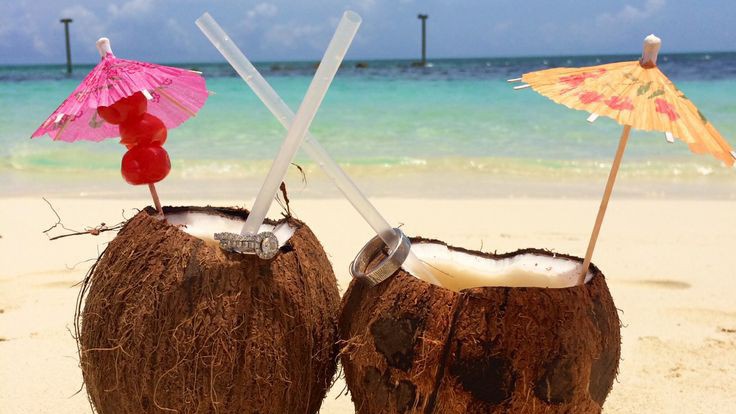 ㅤ

͏͏͏͏͏͏    

͏͏͏͏͏͏ 
͏͏͏͏͏͏ㅤ

06 月 24 日
このは あきのり
paradise on earth. 
͏͏͏͏͏͏