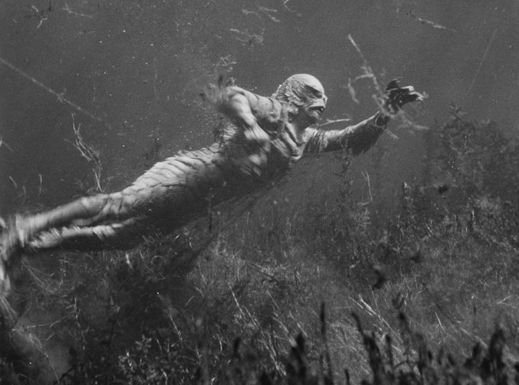 HorrorHammer1's tweet photo. Creature From the Black Lagoon (1954) https://t.co/YudsyMfT2R