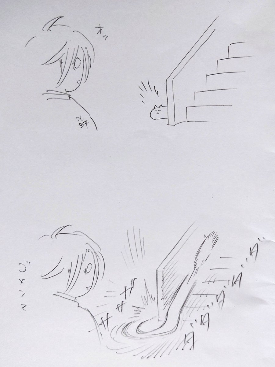 5年ぶりに実家に帰りました。実家の猫(今回が初対面)聞いていたとおりの凄まじい人見知り。まあ目撃するという目標は達成できたからいいかな。