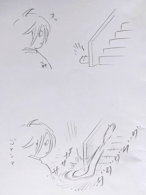5年ぶりに実家に帰りました。実家の猫(今回が初対面)聞いていたとおりの凄まじい人見知り。まあ目撃するという目標は達成できたからいいかな。