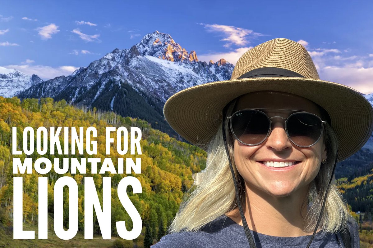 Paige Smith tweet media