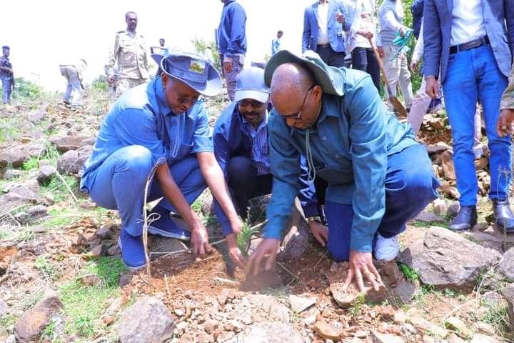 Hailemariam_Kef's tweet photo. H.E Adem Farah,deputy president of  Prosperity Party, H.E Dr.Yiliqal Kefale, President of ANRS, H.E Professor Eyasu Elias,   State Minister,Ministry of Agriculture, national Green legacy technical committees &amp; agri.families put our green finger print in Dera wereda of S. Gonder https://t.co/LbEOY87xhI