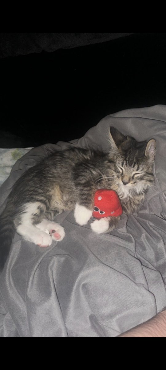 We Are Ed tweet media